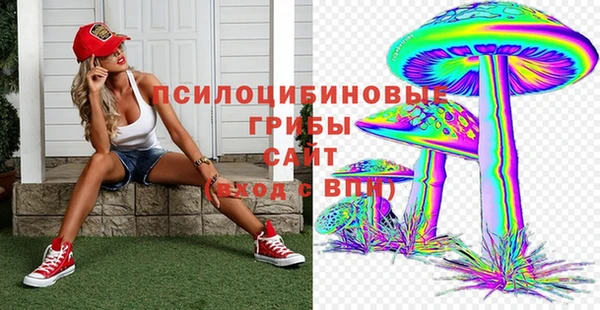 прущие крисы Абинск