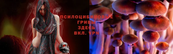 прущие крисы Абинск