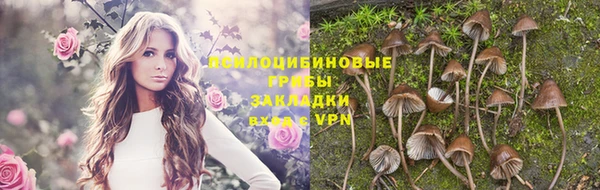 спайс Абаза
