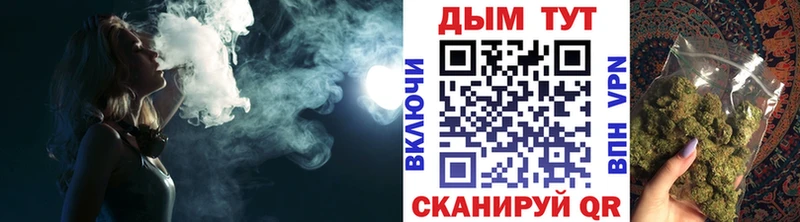 как найти наркотики  Чухлома  Бошки марихуана конопля 